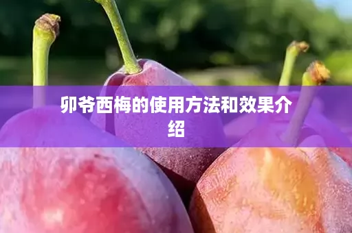 卯爷西梅的使用方法和效果介绍