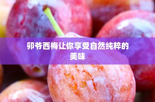 卯爷西梅让你享受自然纯粹的美味