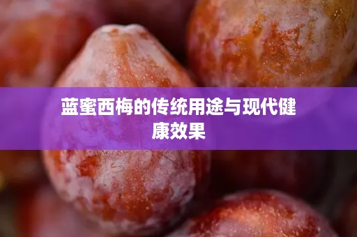 蓝蜜西梅的传统用途与现代健康效果