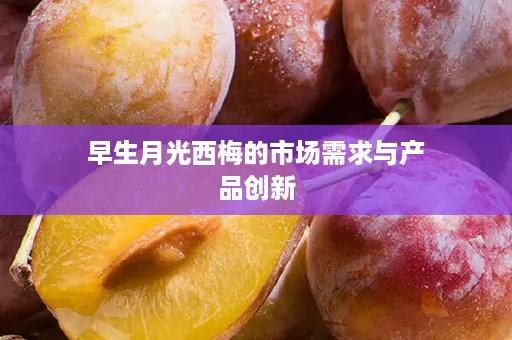 早生月光西梅的市场需求与产品创新