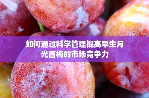 如何通过科学管理提高早生月光西梅的市场竞争力