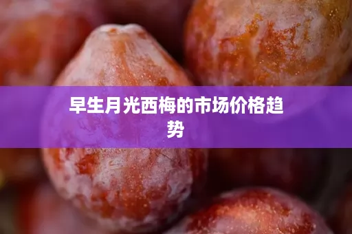 早生月光西梅的市场价格趋势 早生月光西梅的市场价格趋势
