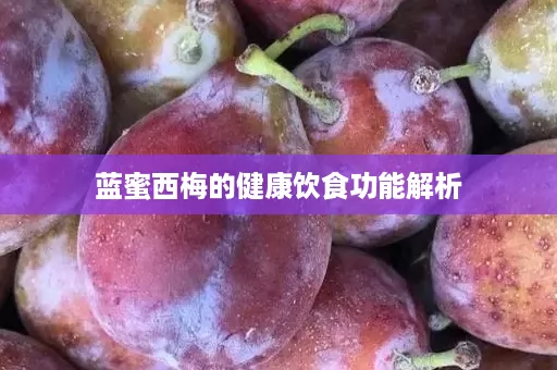 蓝蜜西梅的健康饮食功能解析