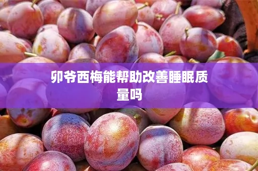 卯爷西梅能帮助改善睡眠质量吗