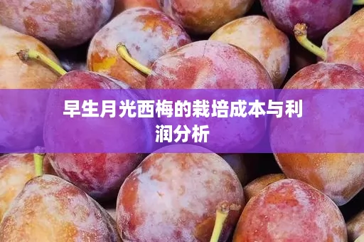 早生月光西梅的栽培成本与利润分析