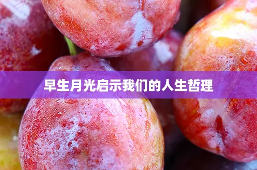早生月光启示我们的人生哲理