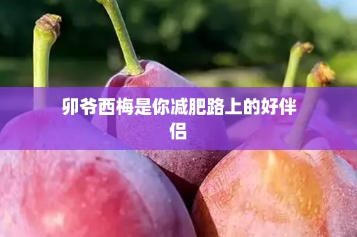 卯爷西梅是你减肥路上的好伴侣