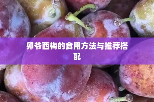 卯爷西梅的食用方法与推荐搭配