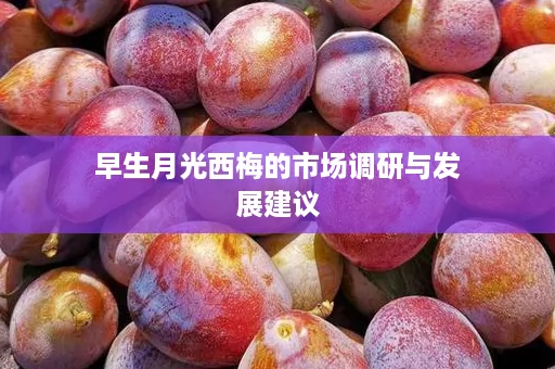 早生月光西梅的市场调研与发展建议