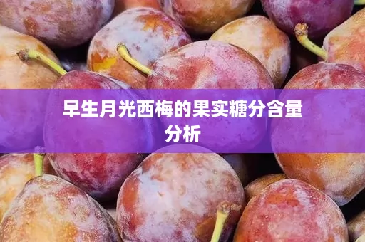 早生月光西梅的果实糖分含量分析