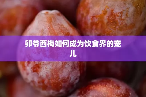 卯爷西梅如何成为饮食界的宠儿
