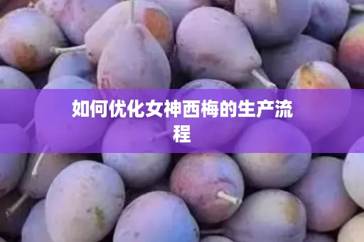 如何优化女神西梅的生产流程