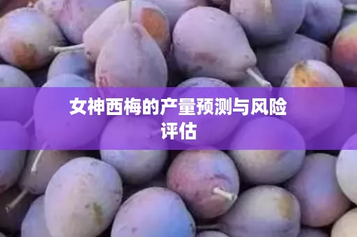 女神西梅的产量预测与风险评估
