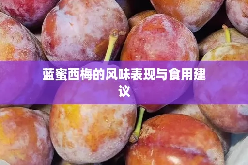 蓝蜜西梅的风味表现与食用建议