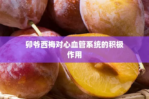 卯爷西梅对心血管系统的积极作用
