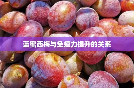 蓝蜜西梅与免疫力提升的关系 蓝蜜西梅与免疫力提升的关系