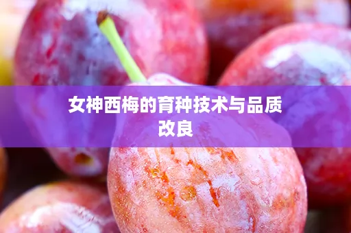 女神西梅的育种技术与品质改良