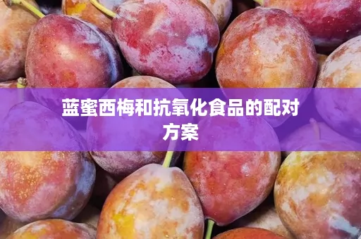 蓝蜜西梅和抗氧化食品的配对方案