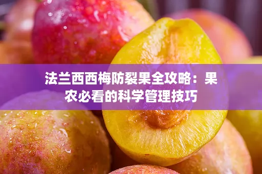 法兰西西梅防裂果全攻略：果农必看的科学管理技巧
