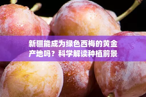 新疆能成为绿色西梅的黄金产地吗？科学解读种植前景
