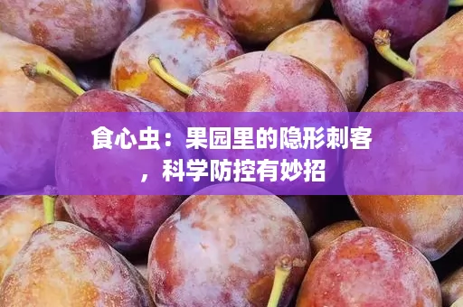 食心虫：果园里的隐形刺客，科学防控有妙招