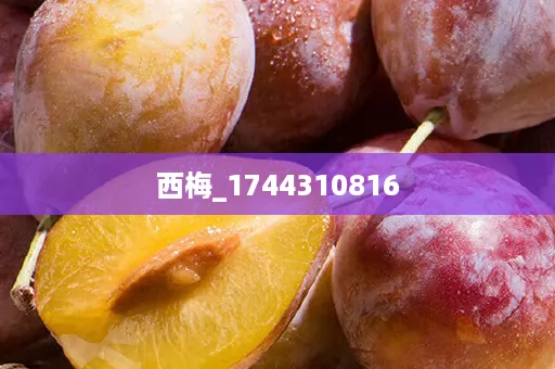 西梅_1744310816