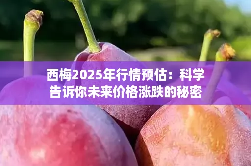 西梅2025年行情预估：科学告诉你未来价格涨跌的秘密