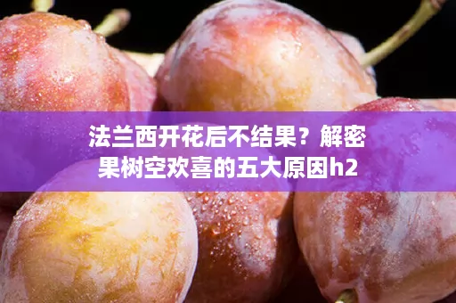 法兰西开花后不结果？解密果树空欢喜的五大原因h2